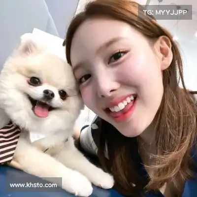 何鹰辉